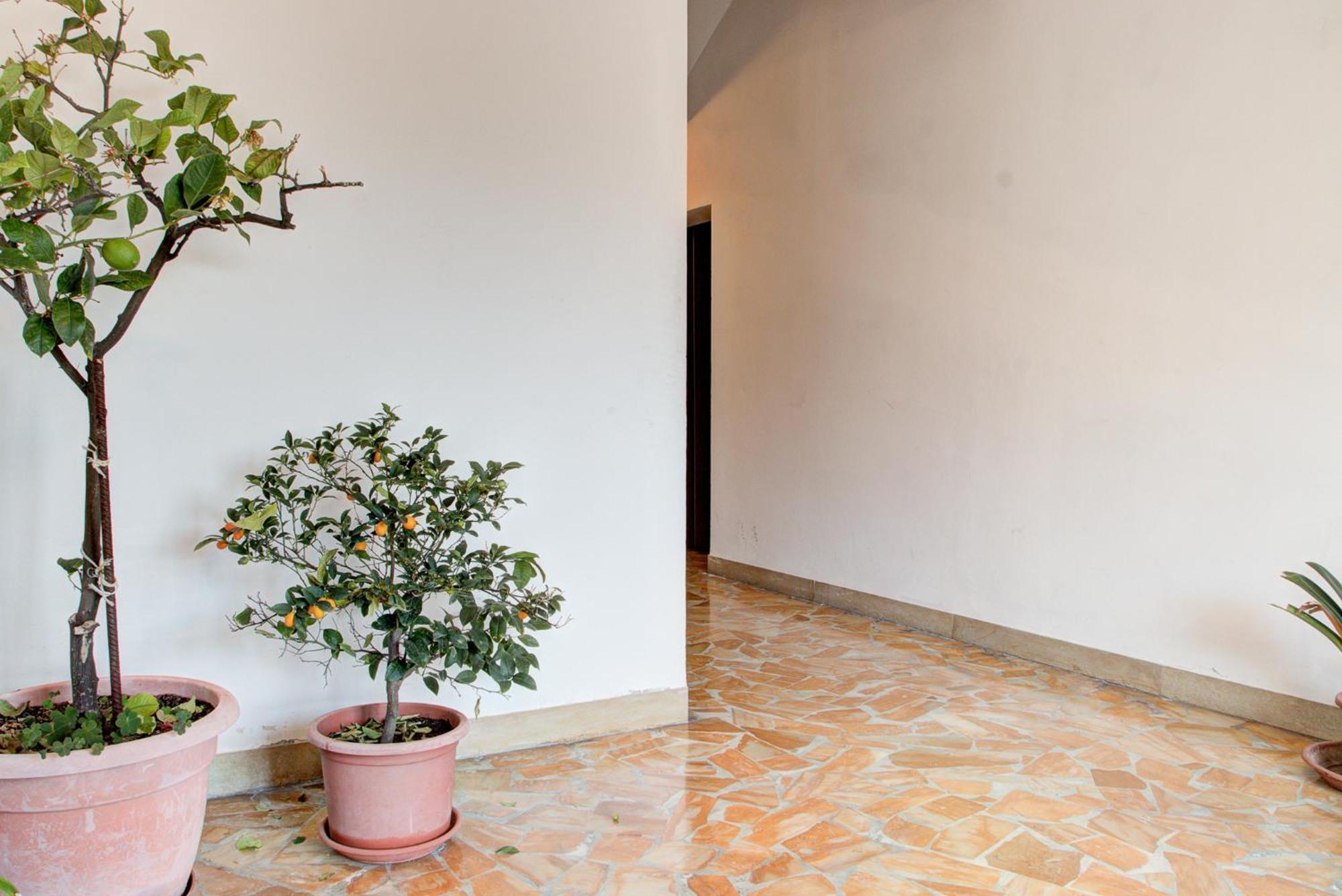 Casa Emilia Leilighet Volterra Eksteriør bilde